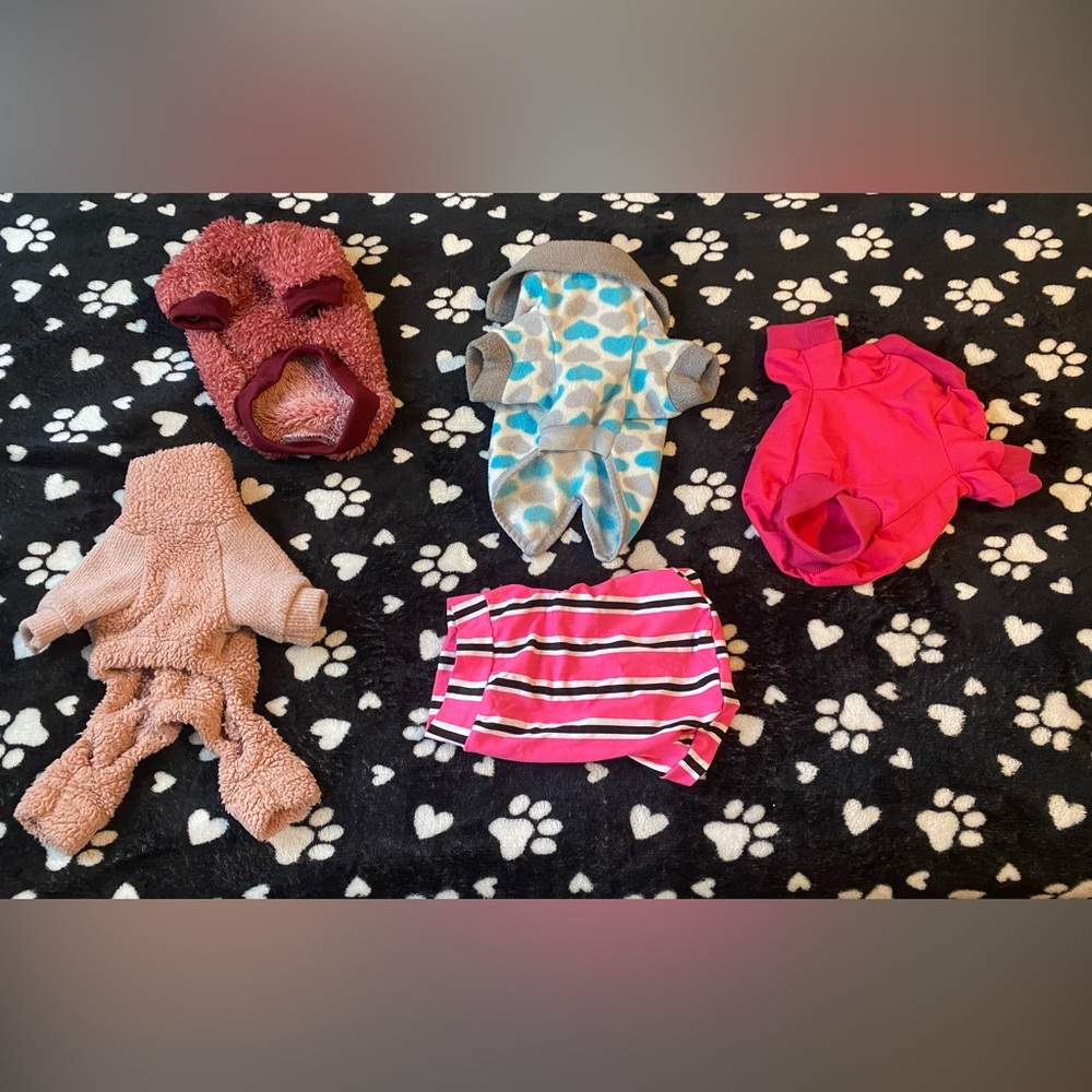 Colorful Pet Clothing Set